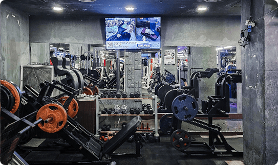 목적 파악 목표 설정